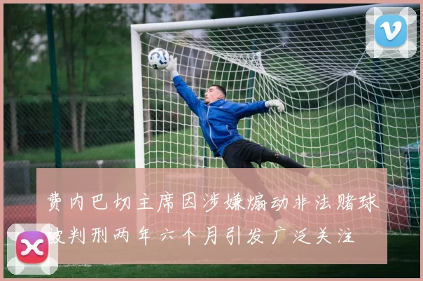 费内巴切主席因涉嫌煽动非法赌球被判刑两年六个月引发广泛关注