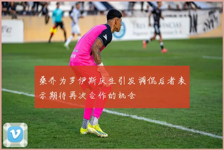 桑乔为罗伊斯庆生引发调侃后者表示期待再次合作的机会