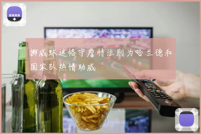 挪威球迷恪守詹特法则为哈兰德和国家队热情助威