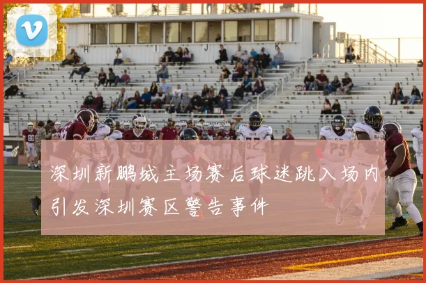 深圳新鹏城主场赛后球迷跳入场内引发深圳赛区警告事件